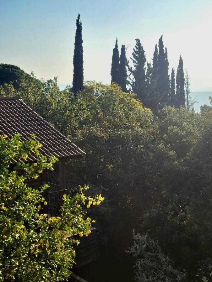 Villa Roof Of The Galilee Amirim Exterior foto